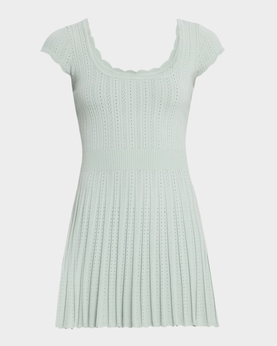 Evaluna Stretch Pointelle Mini Dress